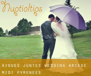 Aigues-Juntes wedding (Ariège, Midi-Pyrénées)
