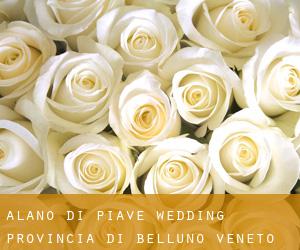 Alano di Piave wedding (Provincia di Belluno, Veneto)