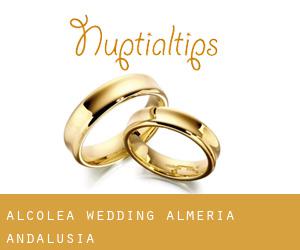 Alcolea wedding (Almeria, Andalusia)