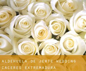Aldehuela de Jerte wedding (Caceres, Extremadura)