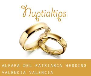 Alfara del Patriarca wedding (Valencia, Valencia)