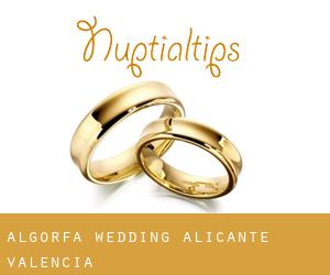 Algorfa wedding (Alicante, Valencia)