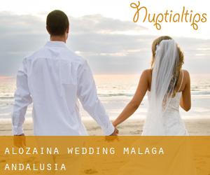 Alozaina wedding (Malaga, Andalusia)