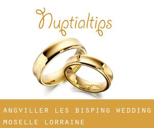 Angviller-lès-Bisping wedding (Moselle, Lorraine)