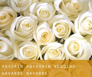 Ansoáin / Antsoain wedding (Navarre, Navarre)