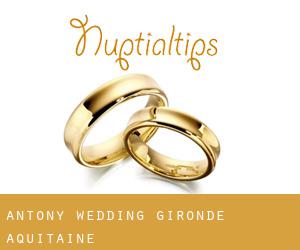 Antony wedding (Gironde, Aquitaine)