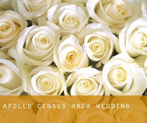 Apollo (census area) wedding