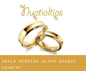 Araia wedding (Alava, Basque Country)