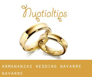 Armañanzas wedding (Navarre, Navarre)