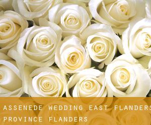 Assenede wedding (East Flanders Province, Flanders)