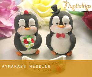 Aymaraes wedding