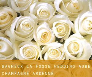 Bagneux-la-Fosse wedding (Aube, Champagne-Ardenne)
