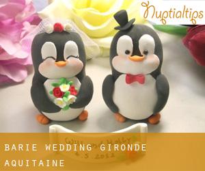Barie wedding (Gironde, Aquitaine)