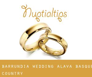 Barrundia wedding (Alava, Basque Country)