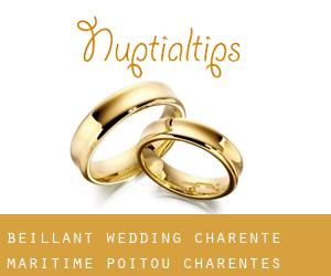 Beillant wedding (Charente-Maritime, Poitou-Charentes)
