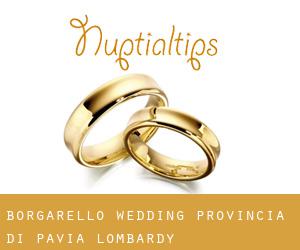 Borgarello wedding (Provincia di Pavia, Lombardy)