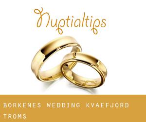 Borkenes wedding (Kvæfjord, Troms)