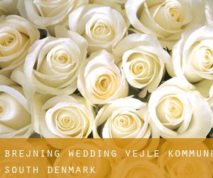 Brejning wedding (Vejle Kommune, South Denmark)