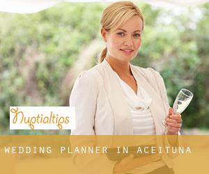 Wedding Planner in Aceituna