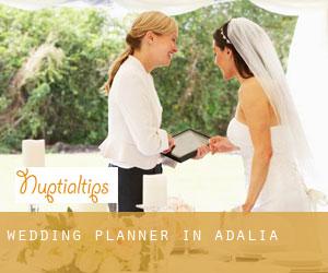 Wedding Planner in Adalia