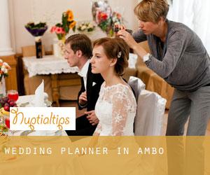 Wedding Planner in Ambo