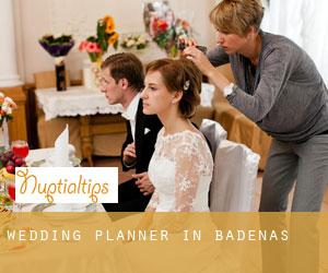 Wedding Planner in Bádenas
