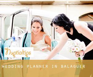 Wedding Planner in Balaguer