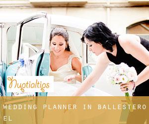 Wedding Planner in Ballestero (El)