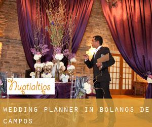 Wedding Planner in Bolaños de Campos