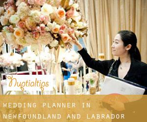 Wedding Planner in Newfoundland and Labrador