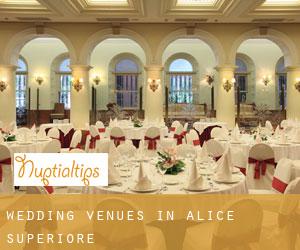 Wedding Venues in Alice Superiore