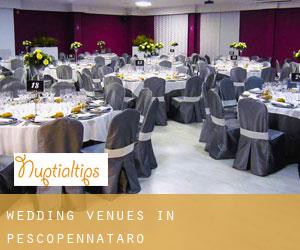 Wedding Venues in Pescopennataro