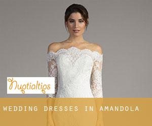 Wedding Dresses in Amandola