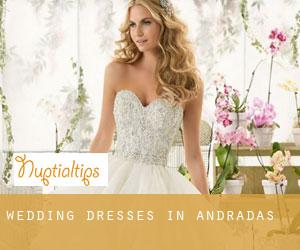 Wedding Dresses in Andradas