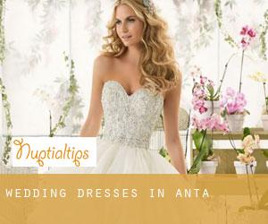 Wedding Dresses in Anta