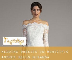 Wedding Dresses in Municipio Andrés Bello (Miranda)