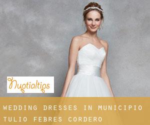 Wedding Dresses in Municipio Tulio Febres Cordero