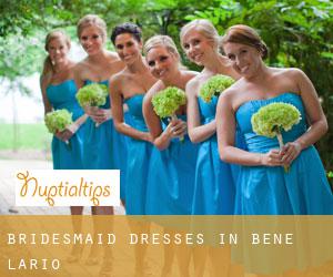 Bridesmaid Dresses in Bene Lario