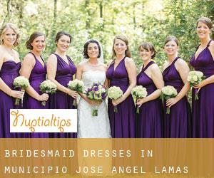 Bridesmaid Dresses in Municipio José Angel Lamas