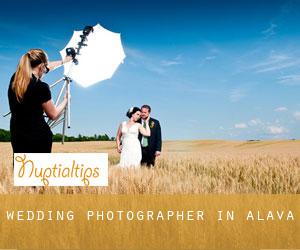 Wedding Photographer in Alava