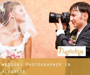Wedding Photographer in Albonese