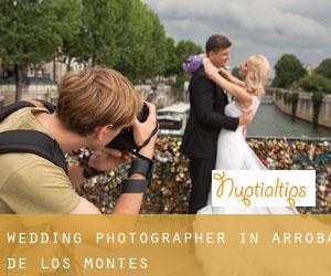 Wedding Photographer in Arroba de los Montes