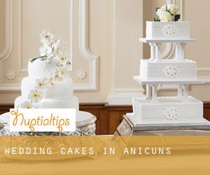 Wedding Cakes in Anicuns