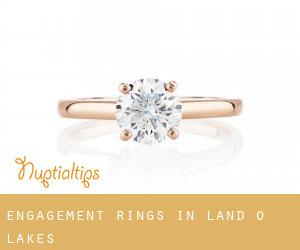 Engagement Rings in Land O' Lakes
