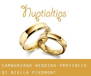 Camburzano wedding (Provincia di Biella, Piedmont)