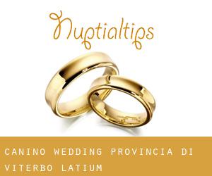 Canino wedding (Provincia di Viterbo, Latium)