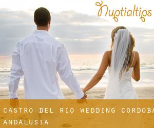 Castro del Río wedding (Cordoba, Andalusia)