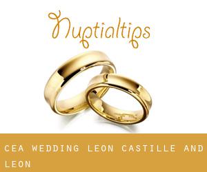 Cea wedding (Leon, Castille and León)