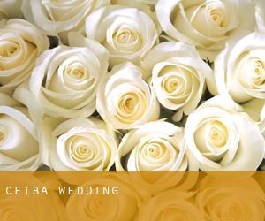 Ceiba wedding
