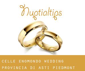 Celle Enomondo wedding (Provincia di Asti, Piedmont)